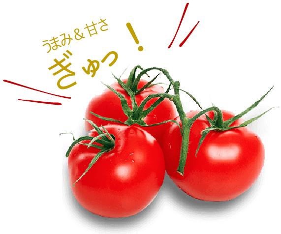 フルーツトマトって?